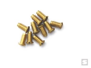 Throttle/choke plate screws x 10